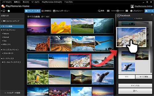 sony picture motion browser software for mac